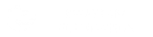 Binay Foundation Logo